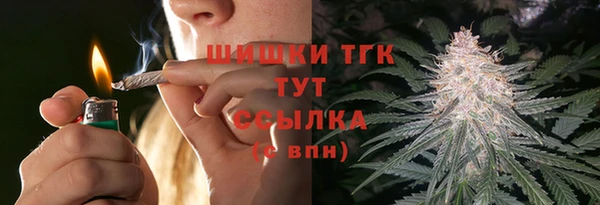 прущие грибы Медвежьегорск
