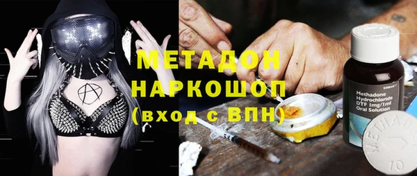 прущие грибы Медвежьегорск