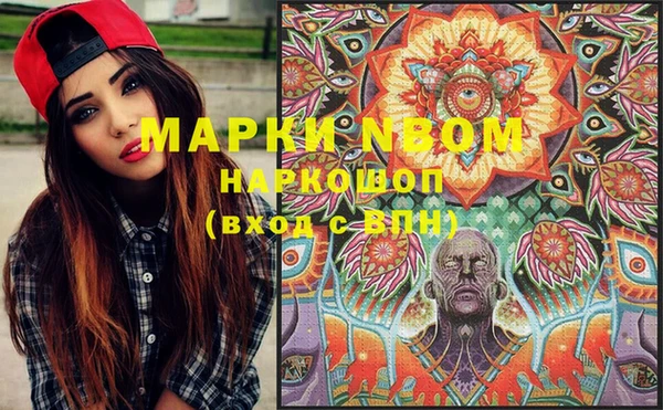 прущие грибы Медвежьегорск